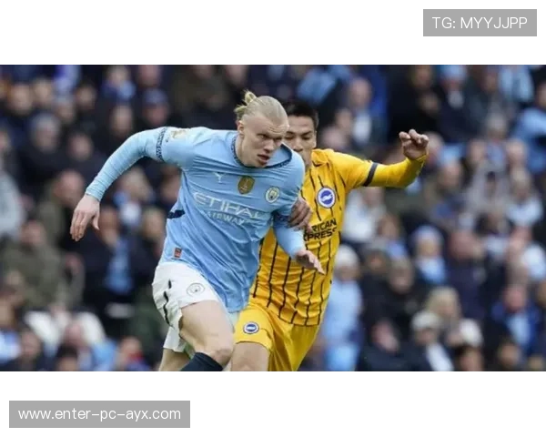 布莱顿追哈兰德式先锋：足球未来的璀璨星辰