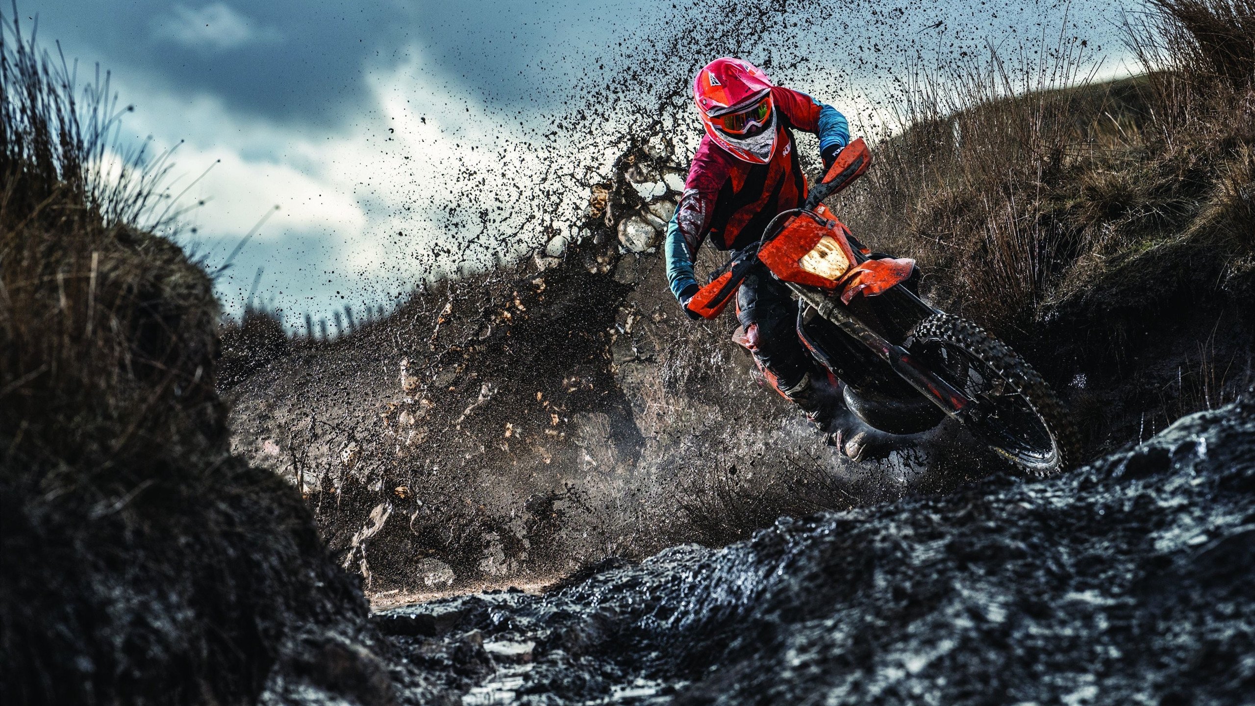 _奇才队坚韧不拔,力挫劲敌_,奇才队队员名单